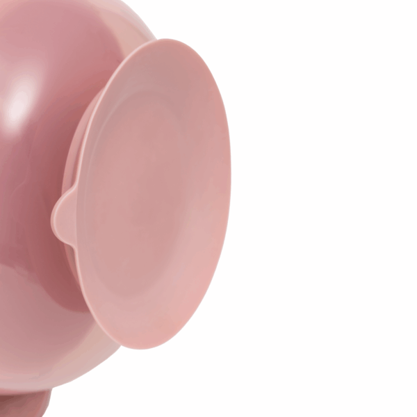 KIT REFEICAO COM DIVISORIAS ROSA BUBA - Image 5